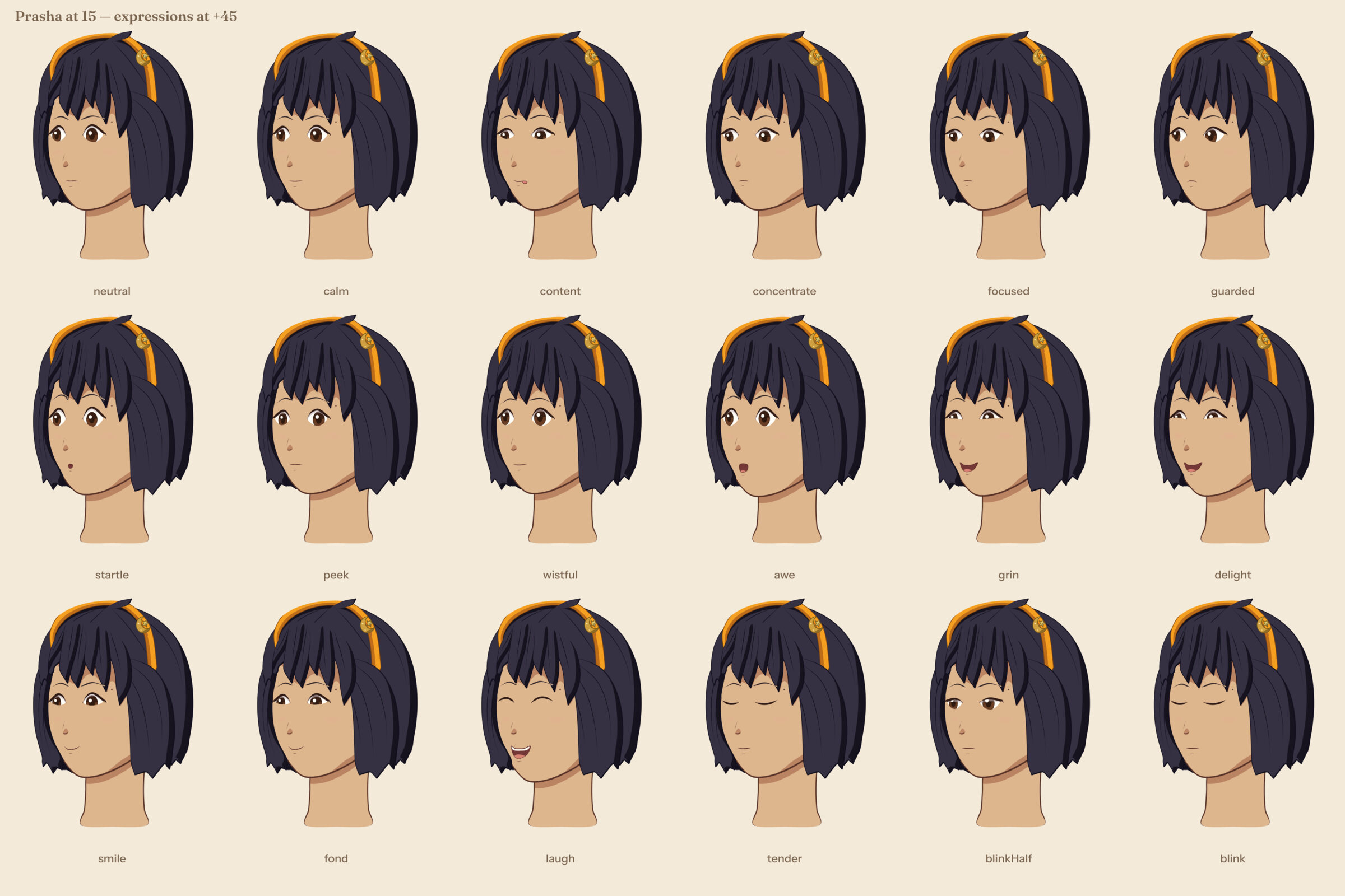 Expression sheet